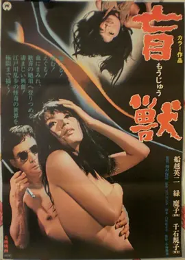 一桌好味美食综艺免费在线观看